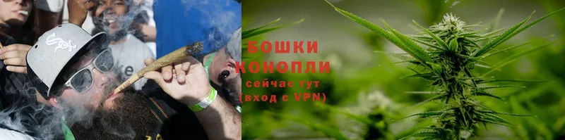 Бошки марихуана THC 21%  сколько стоит  Велиж 